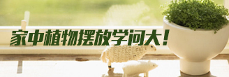 侗族服饰传统文化 侗族服饰的特点